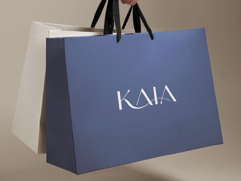 túi giấy cao cấp đựng quần áo